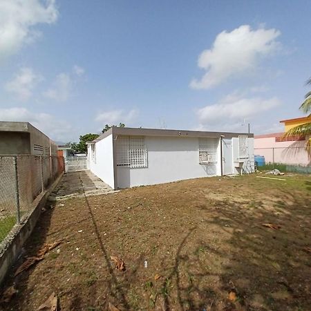 Family House Rain Forest And Beaches Pet Friendly Рио Гранде Екстериор снимка