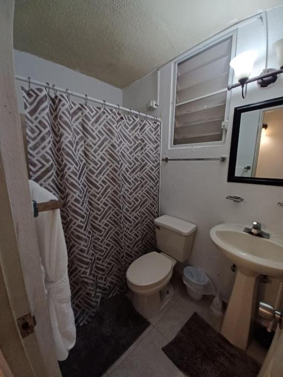 Family House Rain Forest And Beaches Pet Friendly Рио Гранде Екстериор снимка
